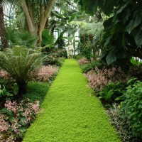 Save Time and Money With Professional Landscape Design in Waukesha, Wisconsin