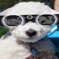 Important Information about Solar Eclipse Safety