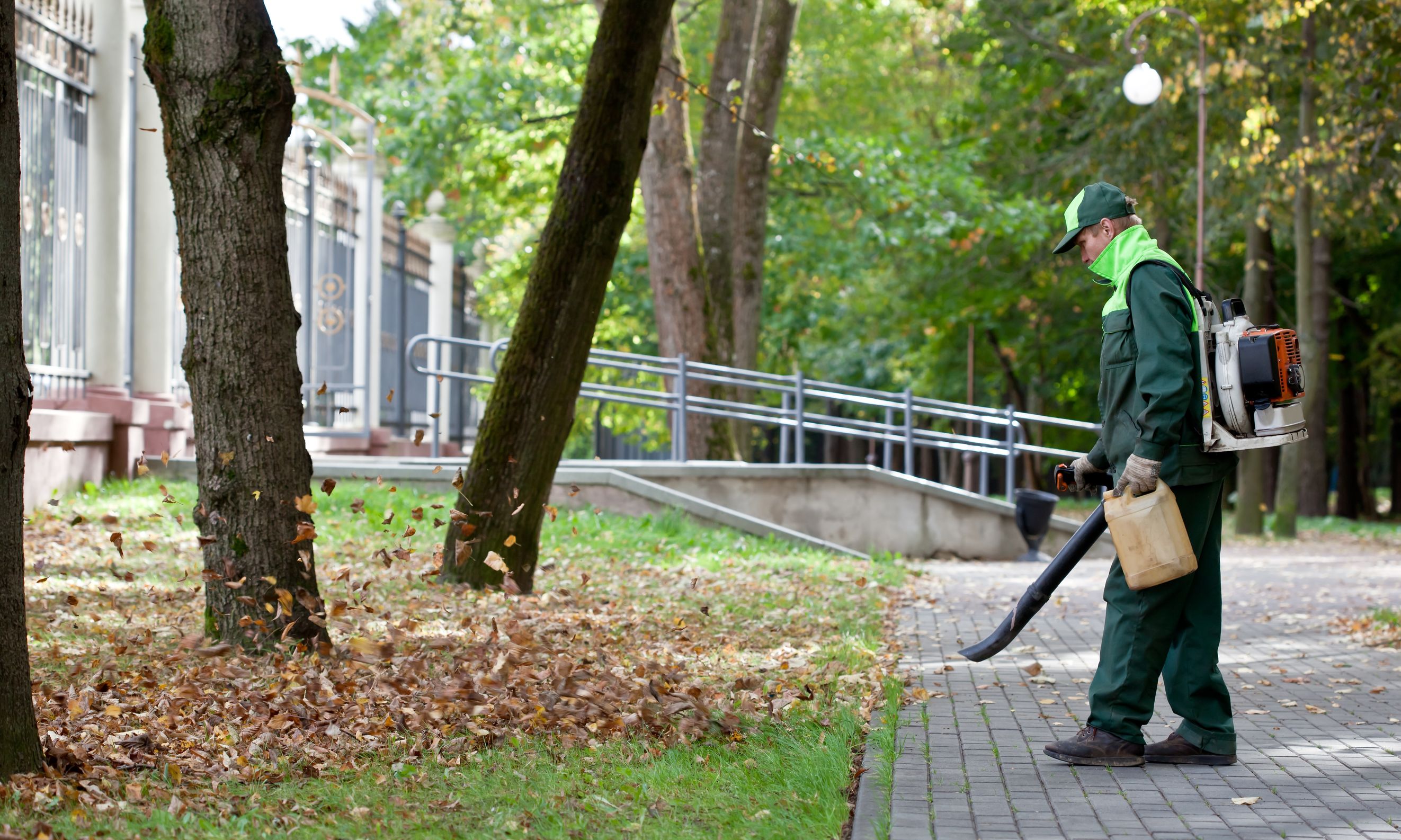 How a Professional Lawn Service Makes Leaf Clean Up in Boulder, CO Easy