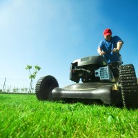 Professional Lawn Care Services In Milwaukee WI