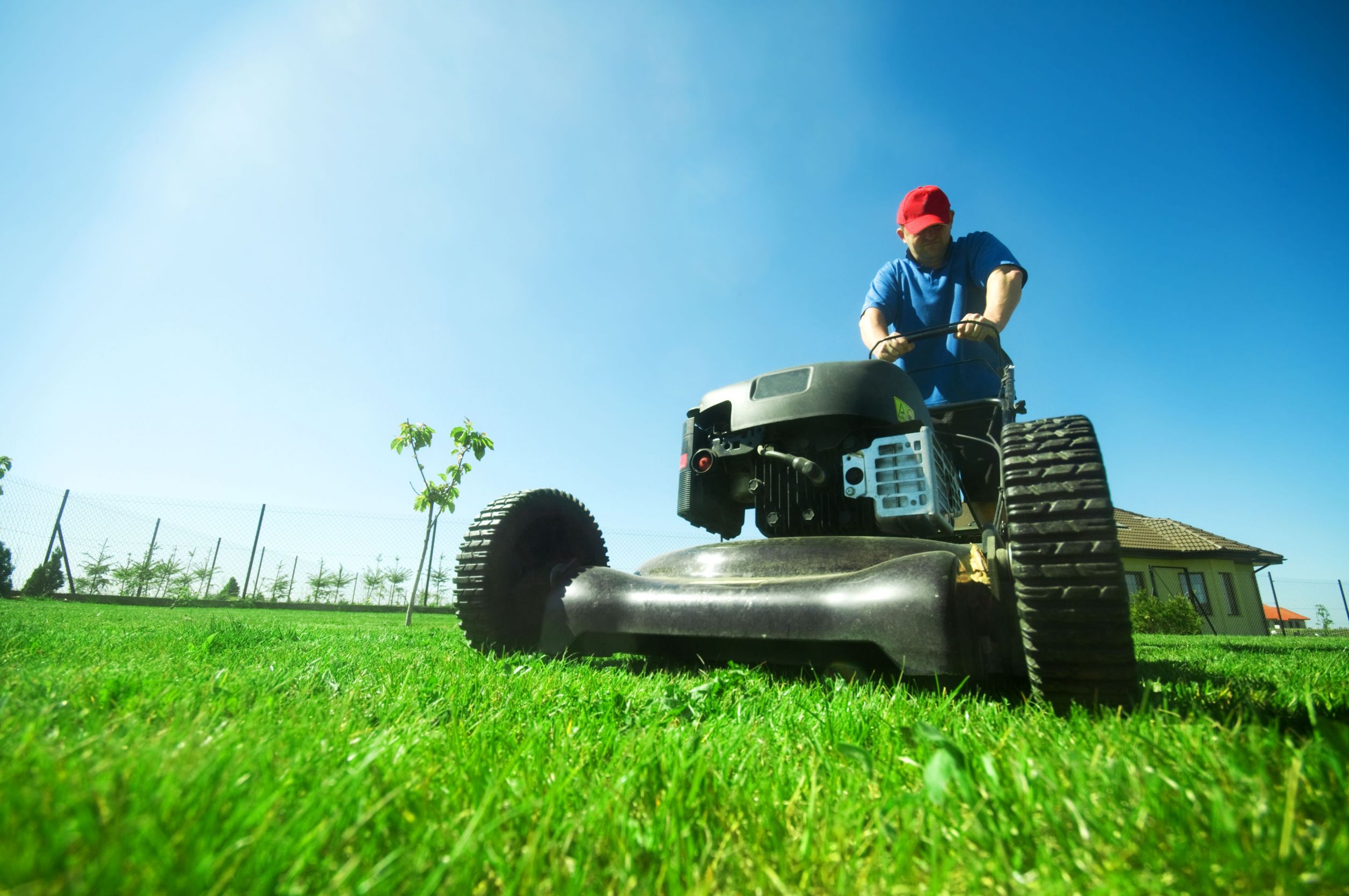 Professional Lawn Care Services In Milwaukee WI