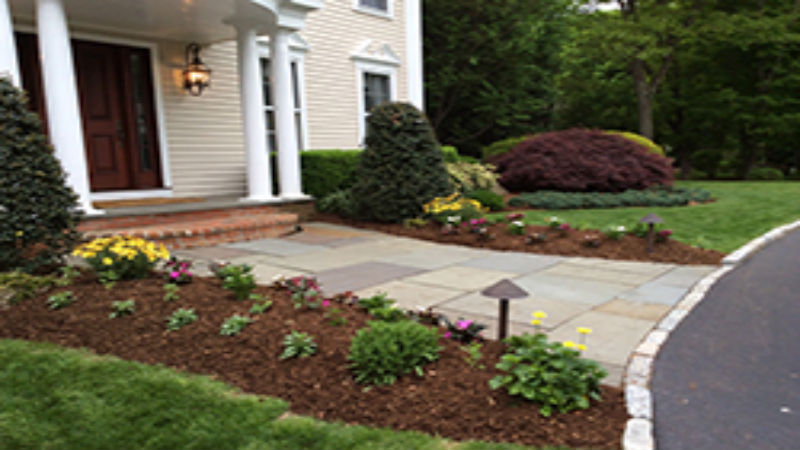 Landscaping Services in New Canaan CT for Emphasizing Native Wildflowers and Other Plants