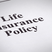 A Brief Overview of the Products Provided by a Life Insurance Company
