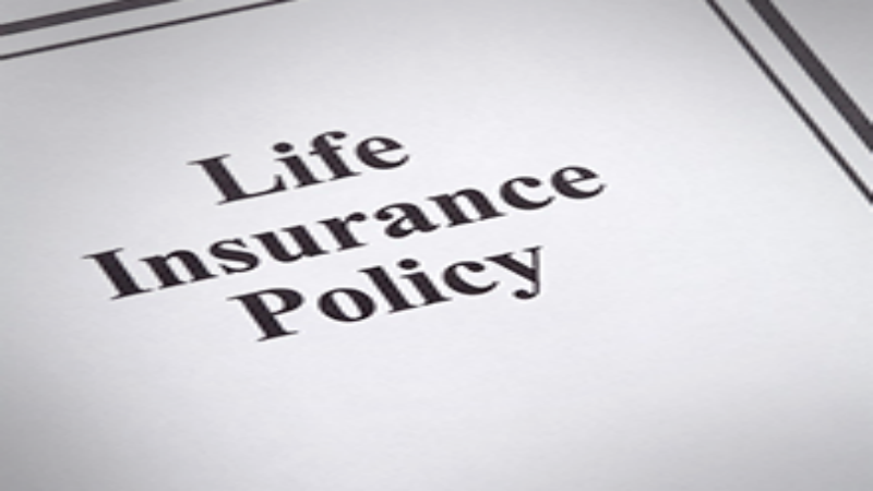 A Brief Overview of the Products Provided by a Life Insurance Company