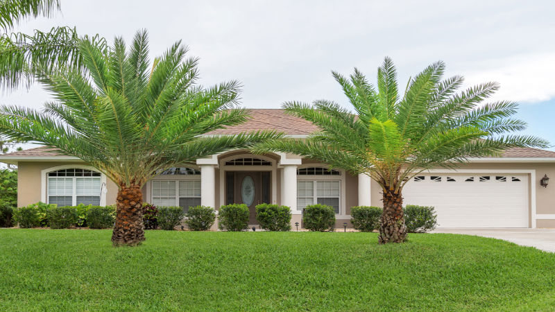 What Pests Are Managed Through Lawn Maintenance In Wellington, Florida?