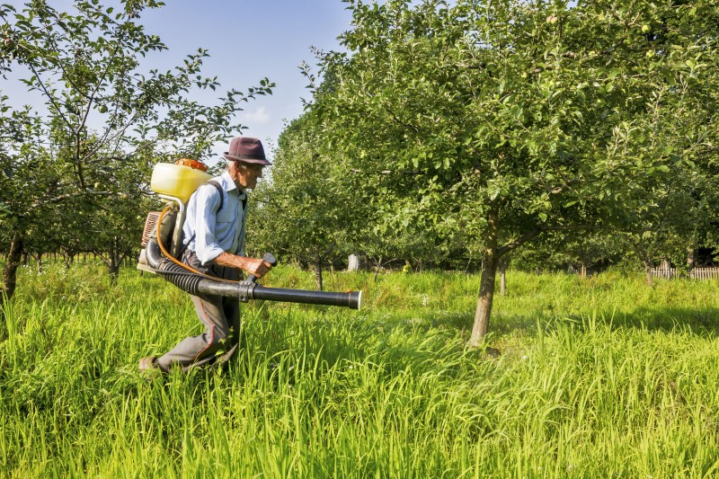 Hiring A Landscaper to Provide Weed Control in Spokane