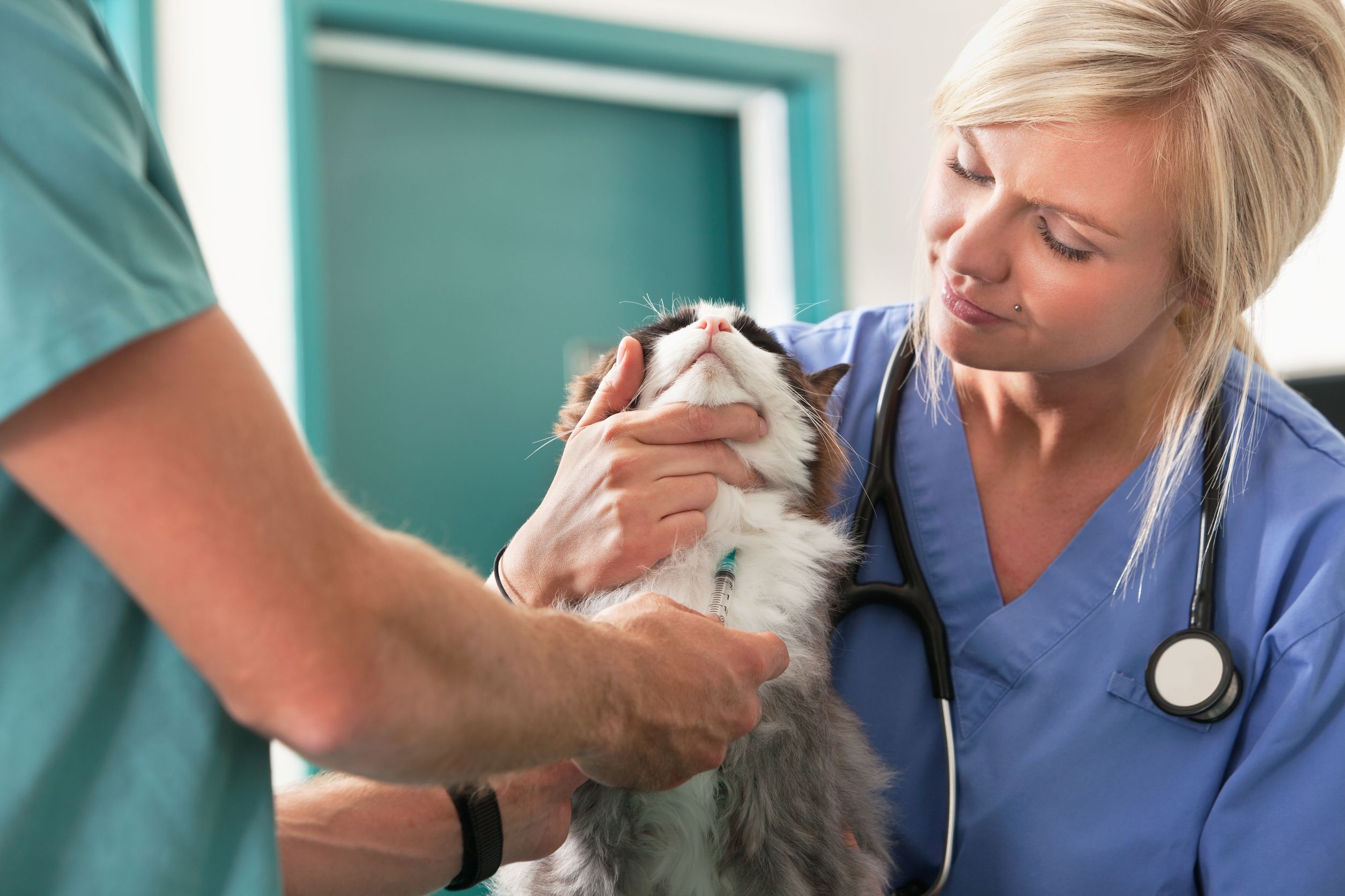 The Necessity and Benefits of Regular Pet Vaccination in Lenexa KS