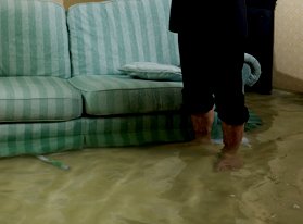 Don’t Let Water Damage In Colorado Springs Destroy Your Property