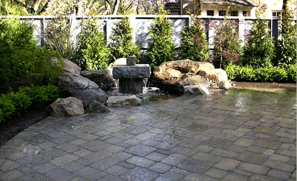 Consider Professional Landscape in Arlington Services for a Beautiful Yard