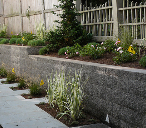 Simple or Complicated Landscaping in Arlington that can Greatly Improve Your Home