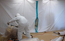 Mold Detection Services In Alexandria, VA Can Keep You Safe From Harm