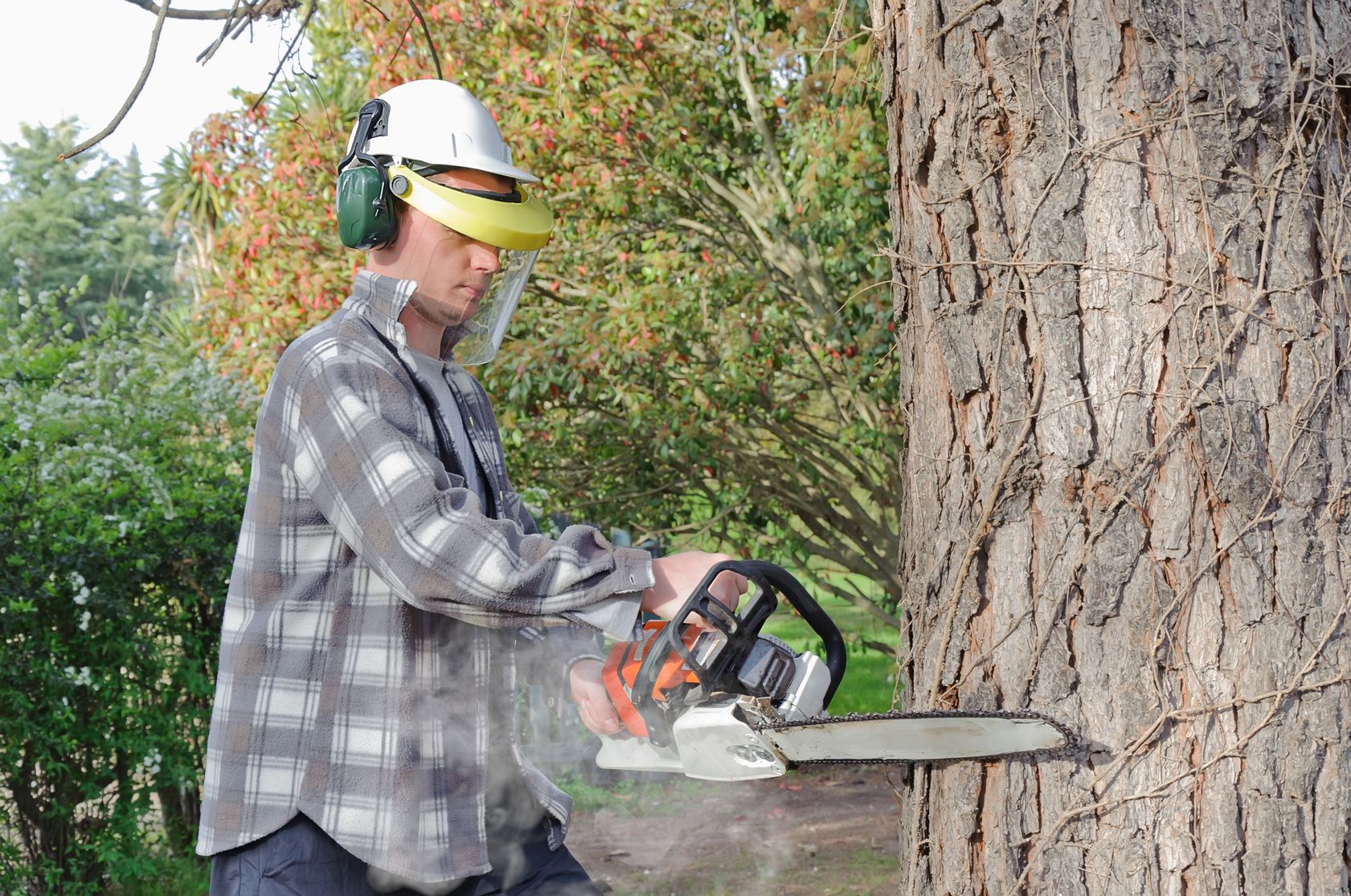 Beautify Your Yard And Add More Shade With Help From a Tree Company in Arlington