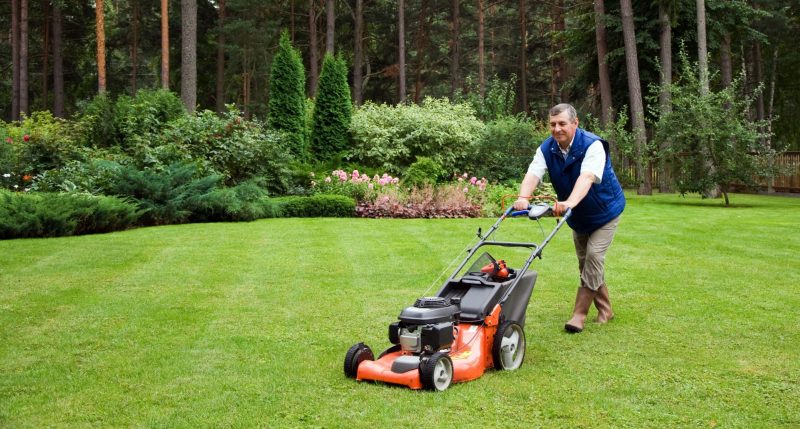 What to Expect From Organic Lawn Care in Weston CT