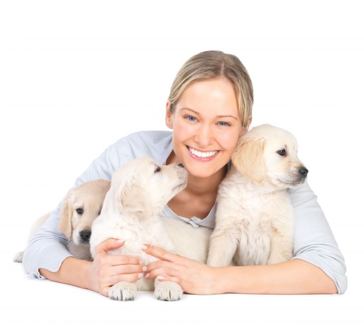 Questions and Answers About Pet Vaccination In Olathe KS For Dogs