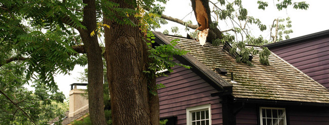 Check Out Storm Damage Roof Repair in Ann Arbor, MI