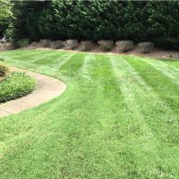 Signs You Should Hire a Professional Lawn Care Service