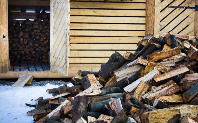 The Ultimate Choice for Firewood Delivery Near NJ Providing Superior Heat and Comfort for Your Residence