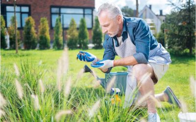 Healthy Lawns and Gardens Start Here: Why Landscape Maintenance in Cape Cod, MA Is a Must for Homeowners