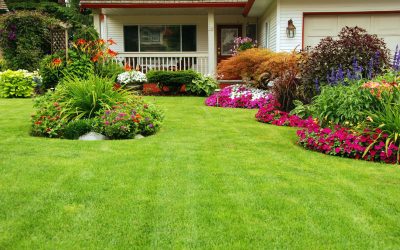 Simple Ways Lawn Mowing in Twin Cities Experts Enhance Curb Appeal for Local Homes